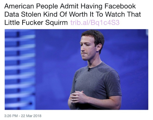 FACEBOOK SHIT HOLE  Facebook is an election manipulation and privacy abuse operation
Keywords: Rare Earth Mines Of Afghanistan, New America Foundation Corruption, Obama, Obama Campaign Finance, Obama FEC violations, Palo Alto Mafia, Paypal Mafia, Pelosi Corruption, Political bribes, Political Insider,  Eric Schmidts Sex Penthouse, SEC Investigation