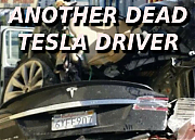 HACKED-TESLA-CRASHES-MUSK-1~0.png